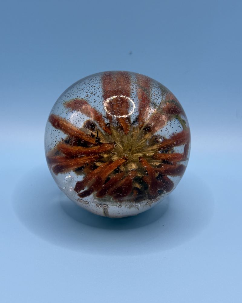 Sphere by Lisa Tomasian